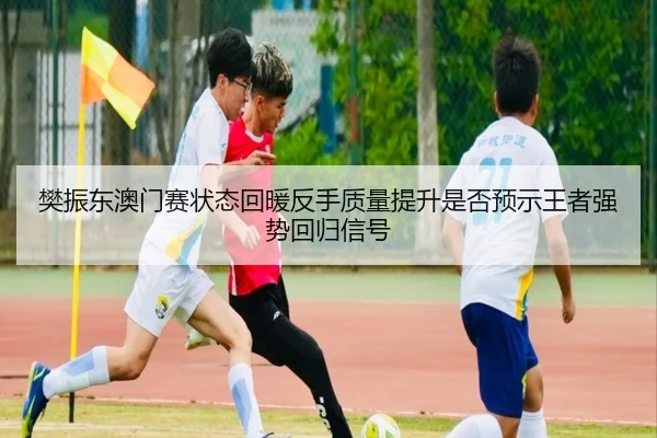 樊振东澳门赛状态回暖反手质量提升是否预示王者强势回归信号